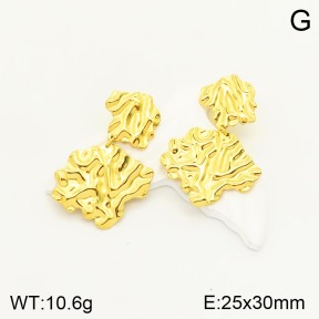 2E2003865vbnl-434  Stainless Steel Earrings