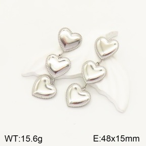 2E2003869vbnl-434  Stainless Steel Earrings