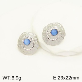 2E4003255vbmb-434  Stainless Steel Earrings