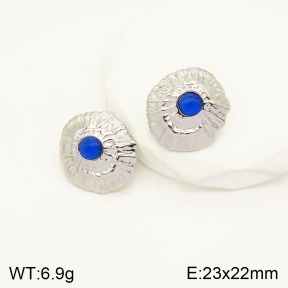 2E4003257vbmb-434  Stainless Steel Earrings