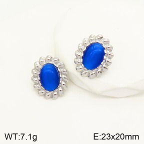 2E4003259bbml-434  Stainless Steel Earrings