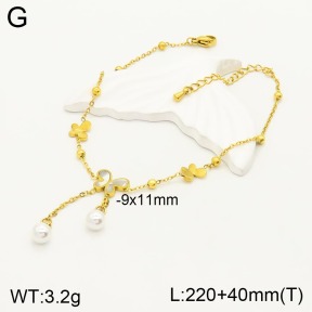 2A9001055bvpl-669  Stainless Steel Anklets