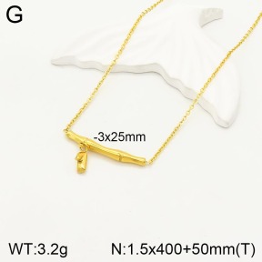 2N2004005vbnb-746  Stainless Steel Necklace