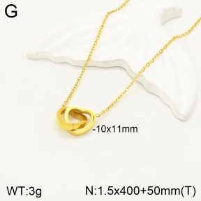 2N2004007bbml-746  Stainless Steel Necklace