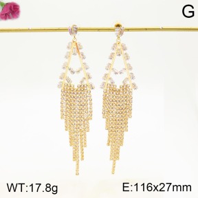 F2E401204bhia-K79  Fashion Earrings