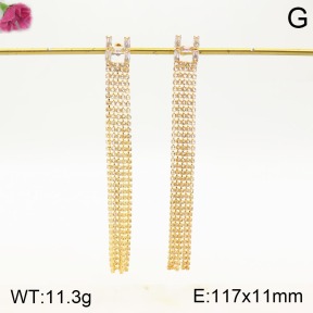 F2E401207bhia-K79  Fashion Earrings