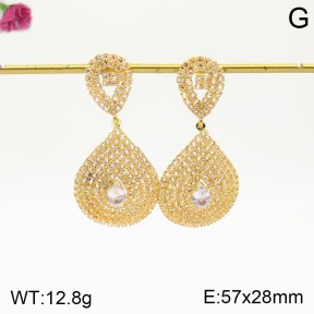 F2E401211bhia-K79  Fashion Earrings