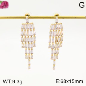 F2E401212bhia-K79  Fashion Earrings