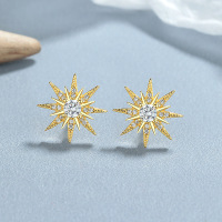 JE6581biim-Y06  925 Silver Earrings  WT:2g  12.8mm