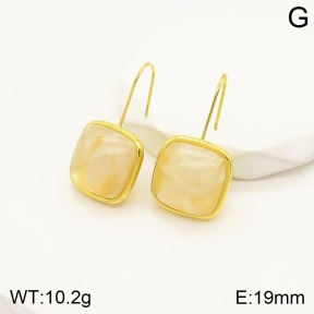2E4003272vbnl-434  Stainless Steel Earrings