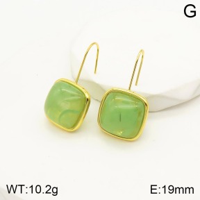 2E4003275vbnl-434  Stainless Steel Earrings