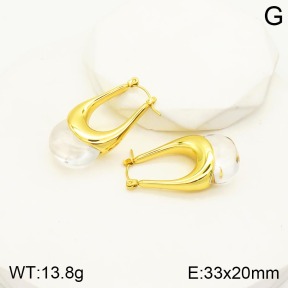 2E4003276vbpb-434  Stainless Steel Earrings