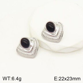 2E4003287vbmb-434  Stainless Steel Earrings