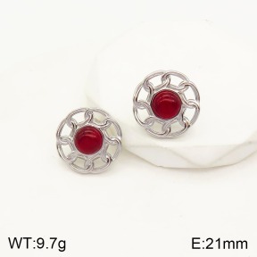 2E4003299vbmb-434  Stainless Steel Earrings