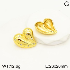 2E4003300bvpl-434  Stainless Steel Earrings