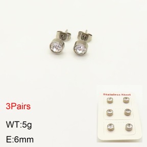 2E4003304aajl-434  Stainless Steel Earrings