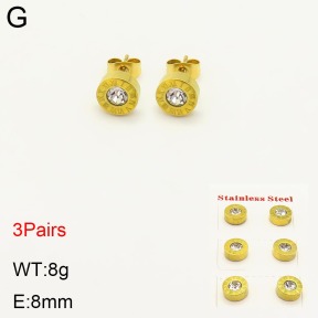 2E4003305vbpb-434  Stainless Steel Earrings