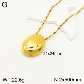 2N2004009vbnb-749  Stainless Steel Necklace