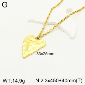 2N2004015vbmb-749  Stainless Steel Necklace