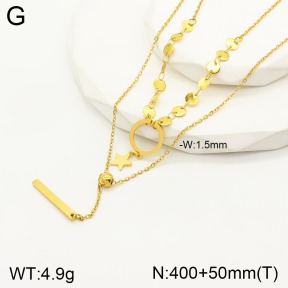 2N2004023vbnb-749  Stainless Steel Necklace