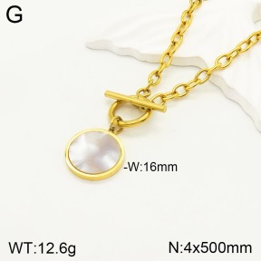 2N3001609vbnb-749  Stainless Steel Necklace