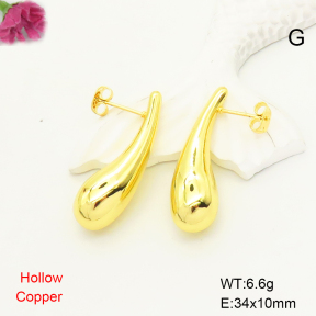 F6E200637ablb-L017  Fashion Copper Earrings