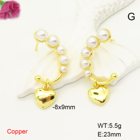 F6E301808vbnb-L017  Fashion Copper Earrings
