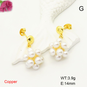 F6E301810vbnb-L017  Fashion Copper Earrings
