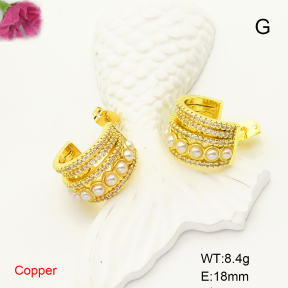 F6E301813bhva-L017  Fashion Copper Earrings