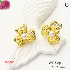 F6E301816ablb-L017  Fashion Copper Earrings