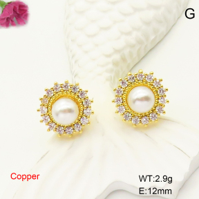 F6E405145bbov-L017  Fashion Copper Earrings