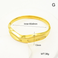 R68A3151  Stainless Steel Bangle