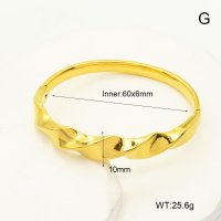 R68A3151  Stainless Steel Bangle