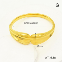 R68A3210  Stainless Steel Bangle