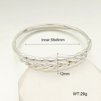 R68A3214  Stainless Steel Bangle