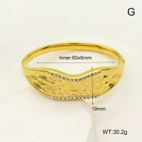 R68A3229  Stainless Steel Bangle