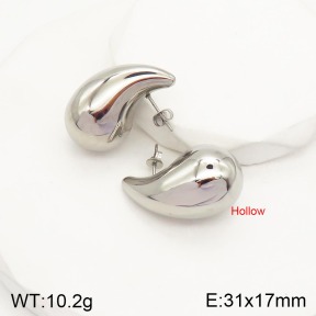 2E2003902bbov-241  Stainless Steel Earrings