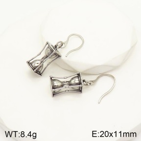 2E2003903bhva-241  Stainless Steel Earrings