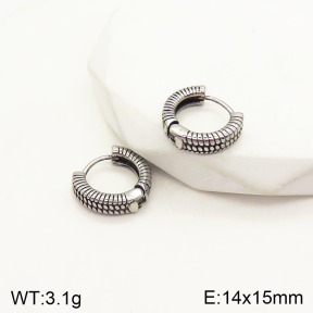 2E2003907bbov-241  Stainless Steel Earrings