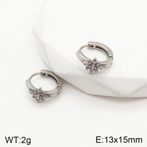 2E4003306vbpb-241  Stainless Steel Earrings