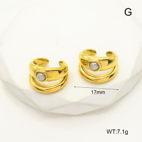 GEE001836bhva-066  Plastic Imitation Pearls,Handmade Polished  Stainless Steel Earrings