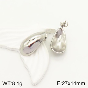 2E2003917vhha-706  Stainless Steel Earrings