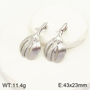 2E2003921vhha-706  Stainless Steel Earrings