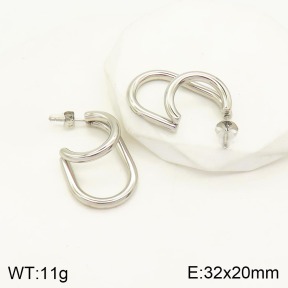 2E2003937bhva-706  Stainless Steel Earrings