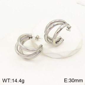 2E2003943bhia-706  Stainless Steel Earrings