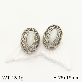 2E4003307vhmv-226  Stainless Steel Earrings