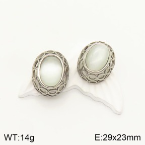 2E4003309vhmv-226  Stainless Steel Earrings
