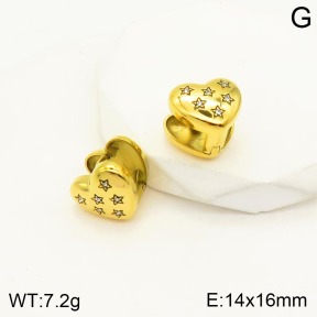 2E4003312vhkb-706  Stainless Steel Earrings