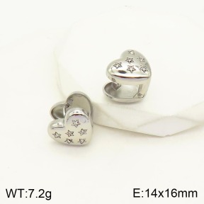 2E4003313ahjb-706  Stainless Steel Earrings