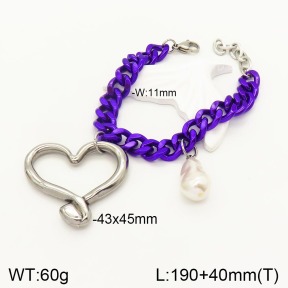 2B3002976vhnv-656  Stainless Steel Bracelet